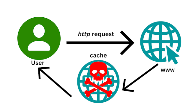 Web Cache Poisoning Attack : A Helpful Guide